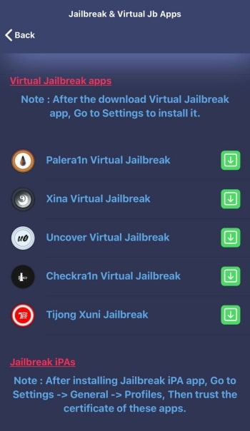 jailbreak & virtual jailbreak - step 3